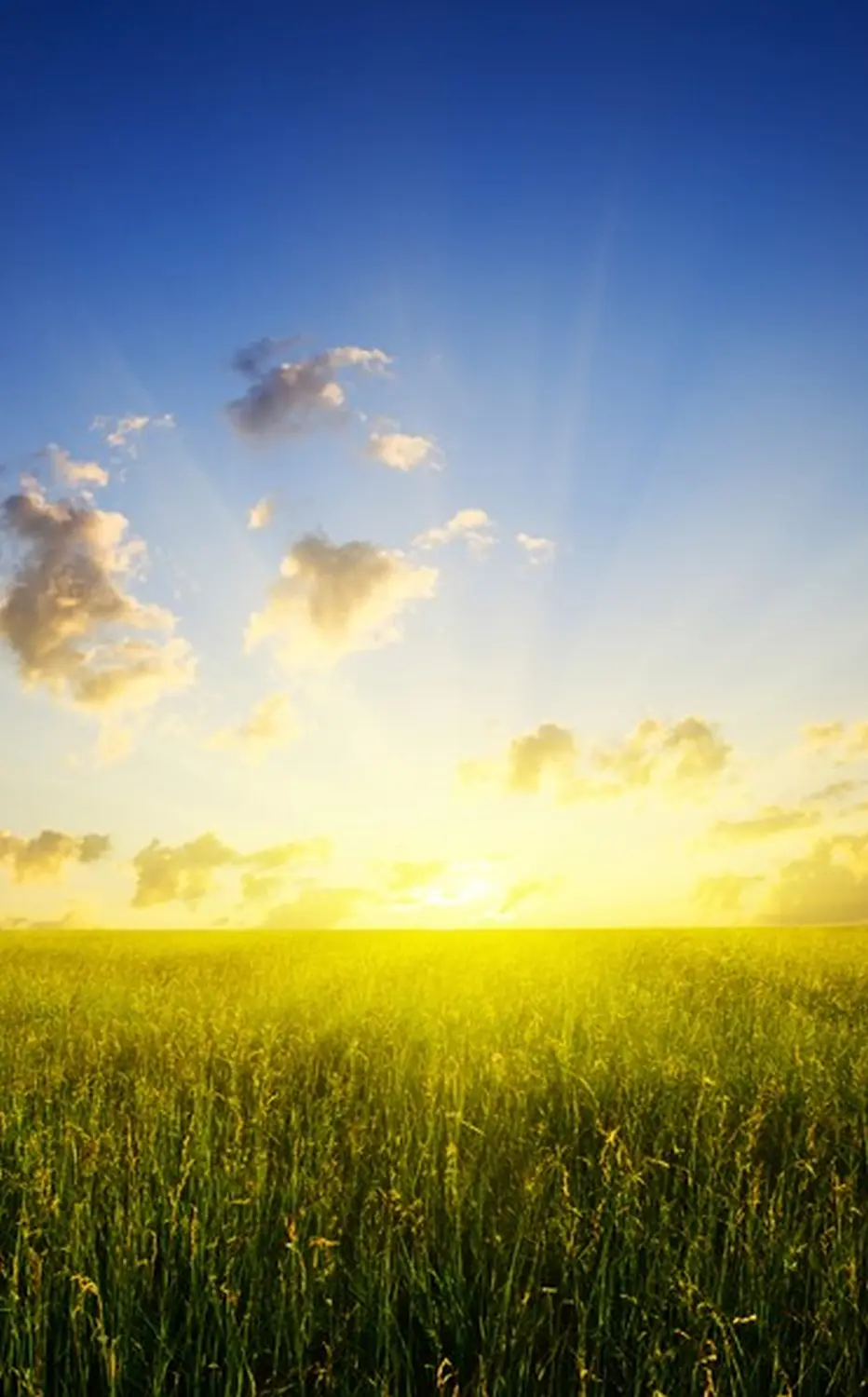 Sonnenaufgang im Grünen vom Solarzentrum Thüringen